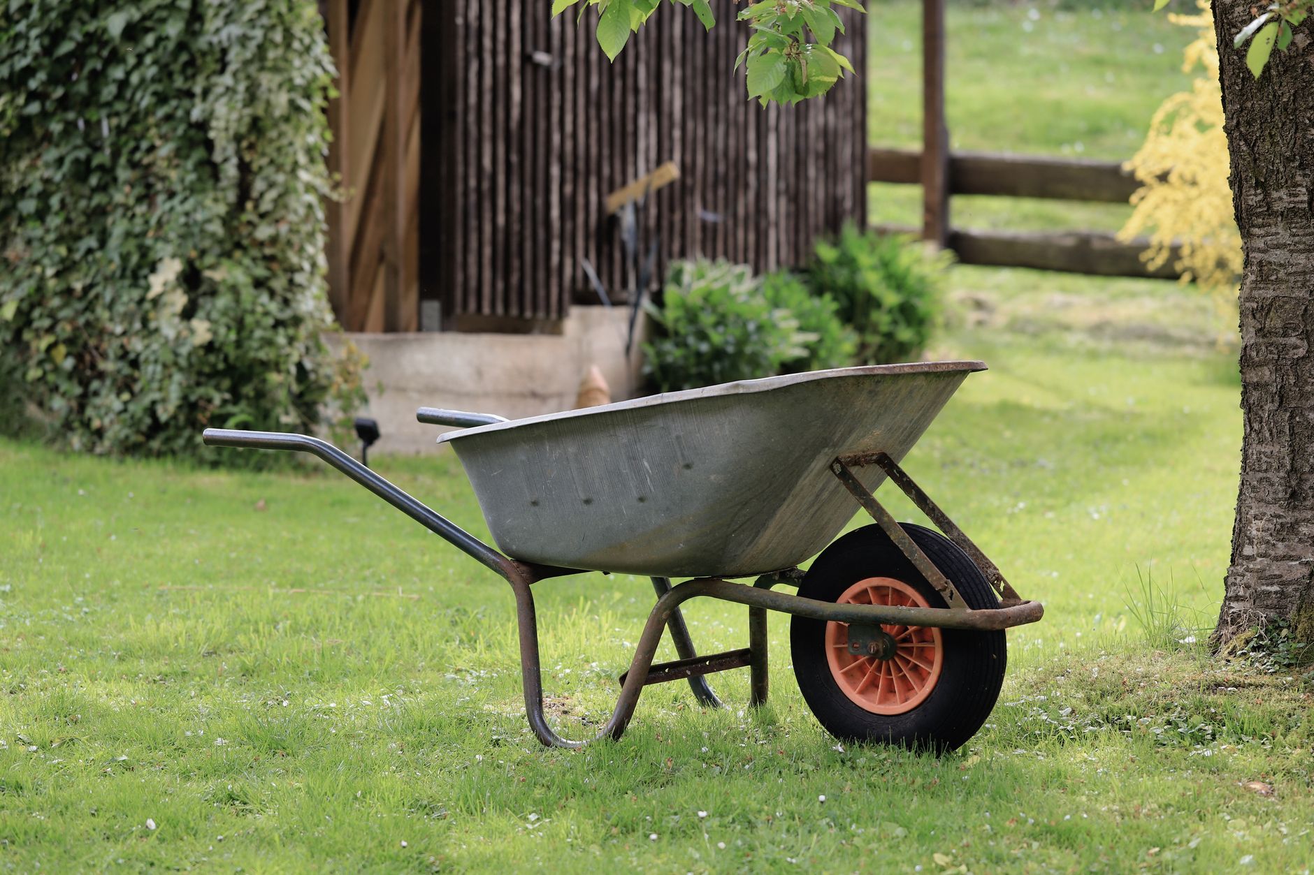 Seasonal Cleanup — Baeza Landscaping